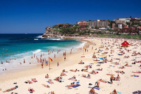Sydney Private Day Tours | Main Attractions And Highlights | 6 Hour Private Tour - Restaurant Guide 2
