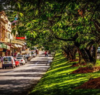 Fully Inclusive Blue Mountains Private Tour inc Scenic World  Featherdale entry - Restaurant Guide