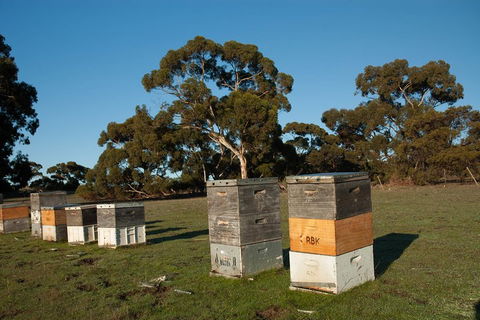 Fine Flavours - Full Day Kangaroo Island Food & Wine Tour - Restaurant Guide 1