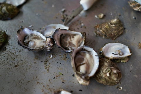 Fine Flavours - Full Day Kangaroo Island Food & Wine Tour - Restaurant Guide 2