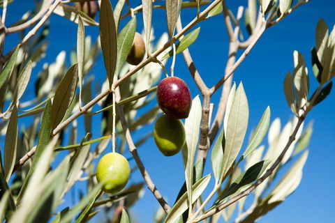 Fine Flavours - Full Day Kangaroo Island Food & Wine Tour - Restaurant Guide 4