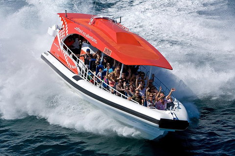Adventure Rottnest Tour With Ferry & Adventure Cruise From Perth Or Fremantle - Restaurant Guide 2