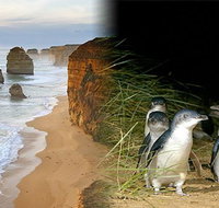 Melbourne Super Saver Great Ocean Road  Phillip Island  Attraction Pass - Restaurant Guide