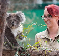 Small-Group Phillip Island Penguin Parade Day Tour from Melbourne - Restaurant Guide