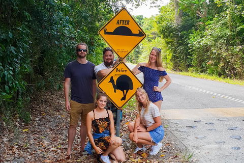 Cape Tribulation, Daintree Rainforest And Wildlife Tour - Restaurant Guide 0