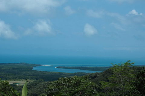 Cape Tribulation, Daintree Rainforest And Wildlife Tour - Restaurant Guide 1