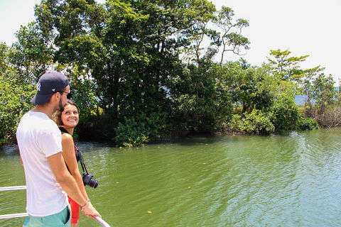 Cape Tribulation, Daintree Rainforest And Wildlife Tour - Restaurant Guide 2