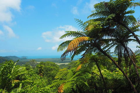 Cape Tribulation, Daintree Rainforest And Wildlife Tour - Restaurant Guide 3