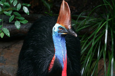 Wildlife Habitat Port Douglas - Restaurant Guide 3