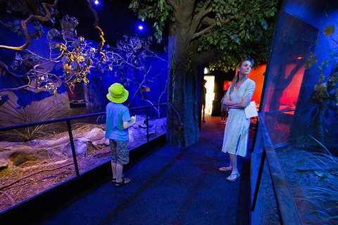 Wildlife Habitat Port Douglas - Restaurant Guide 4