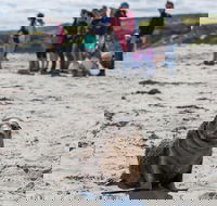 Kangaroo Island in a Day Tour from Adelaide - Restaurant Guide