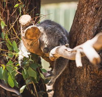 Melbourne City Tour and Phillip Island in One Day - Restaurant Guide