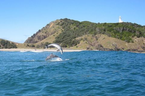 Kayaking With Dolphins In Byron Bay Guided Tour - Restaurant Guide 0