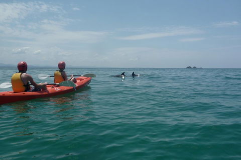 Kayaking With Dolphins In Byron Bay Guided Tour - Restaurant Guide 4