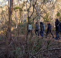 Wild Australian Wildlife 4WD Tour from Sydney - Restaurant Guide