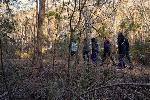 Wild Australian Wildlife 4WD Tour From Sydney - Restaurant Guide 0