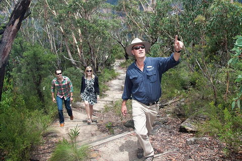 Small-Group Blue Mountains Tour With Bush Walks And Featherdale Wildlife Park - Restaurant Guide 0