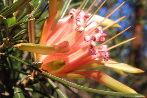 Small-Group Blue Mountains Tour With Bush Walks And Featherdale Wildlife Park - Restaurant Guide 4
