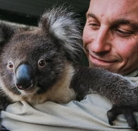 Kangaroos  Koala encounter experience Half day private tour - Restaurant Guide