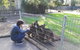Kangaroos & Koala Encounter Experience (Half Day Private Tour) - thumb 4