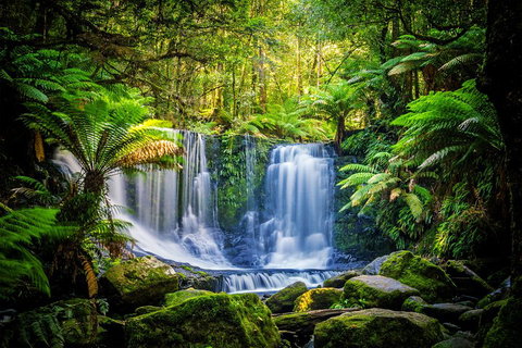 Day Tour In Mt. Field, Mt. Wellington, Bonorong Wildlife Sanctuary And Richmond - Restaurant Guide 0