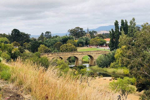 Day Tour In Mt. Field, Mt. Wellington, Bonorong Wildlife Sanctuary And Richmond - Restaurant Guide 3