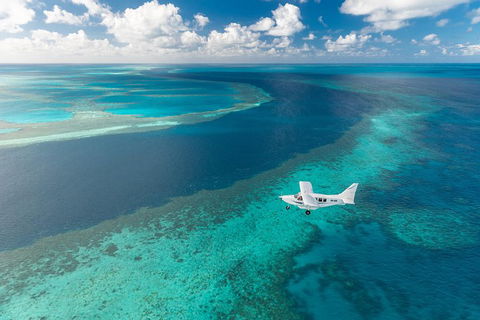 Scenic Flight - Great Barrier Reef, Heart Reef, Whitehaven Beach & Hill Inlet! - Restaurant Guide 3