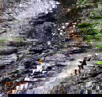 Full-Day Canyoning Experience at Stunning Empress Canyon - Restaurant Guide