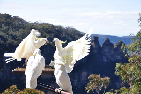 Private Blue Mountains Tour - Restaurant Guide 1