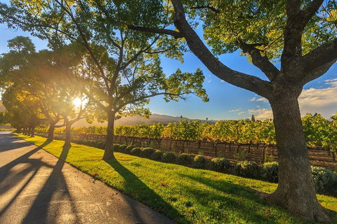 Very Best Of Perth Tour - Wildlife Park & City Highlights Tour - Restaurant Guide 2