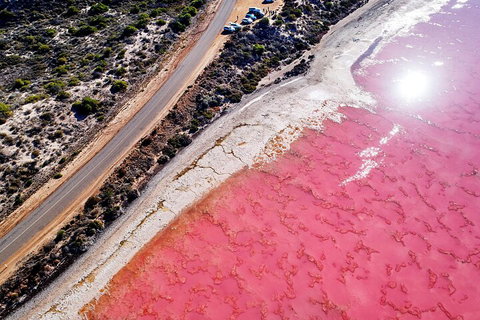 7-Day Exmouth Explorer Via Pinnacles Monkey Mia Ningaloo Reef Returning To Perth - Restaurant Guide 0