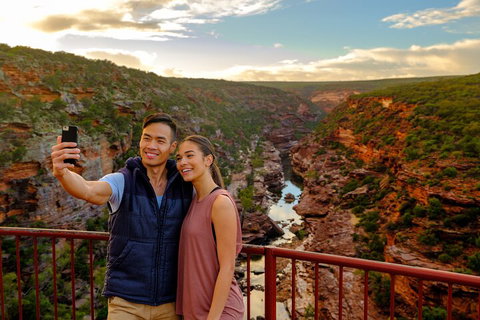 7-Day Exmouth Explorer Via Pinnacles Monkey Mia Ningaloo Reef Returning To Perth - Restaurant Guide 5