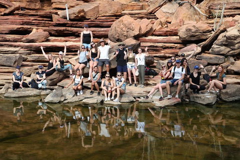 6-Day Coral Coaster From Perth To Exmouth One-Way Via Monkey Mia Ningaloo Reef - Restaurant Guide 2
