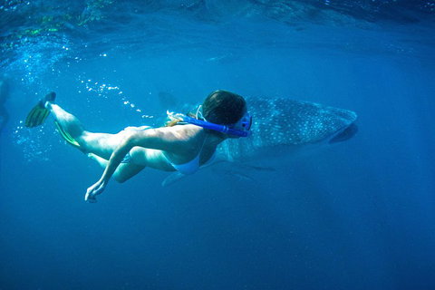 6-Day Coral Coaster From Perth To Exmouth One-Way Via Monkey Mia Ningaloo Reef - Restaurant Guide 3