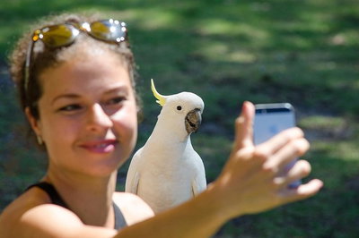 2-Day Melbourne to Adelaide Tour Great Ocean Road and Grampians One Way Trip