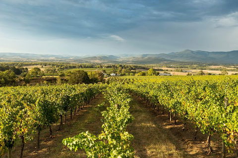 Yarra Valley Local Produce And Wine Tasting Tour - Restaurant Guide 3