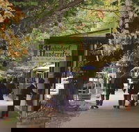 Adelaide Highlights Hahndorf  McLaren Vale Wine Tasting and Sightseeing Tour - Restaurant Guide