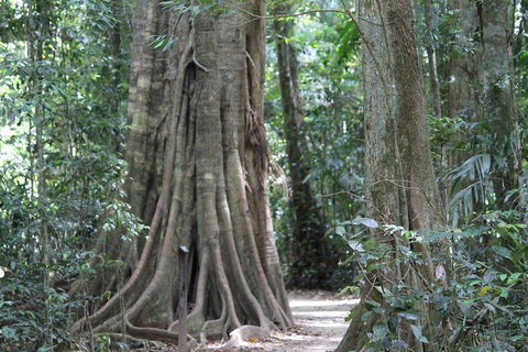 Noosa And Sunshine Coast Hinterland Day Trip From Brisbane - Restaurant Guide 3