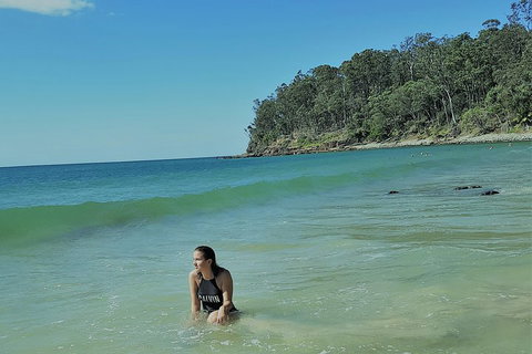 Noosa And Sunshine Coast Hinterland Day Trip From Brisbane - Restaurant Guide 4
