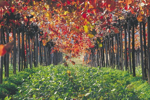 Margaret River Private Tour - Restaurant Guide 0