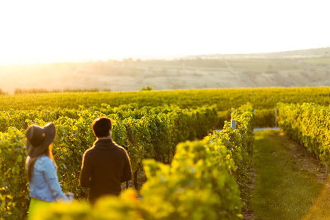 Margaret River Private Tour - Restaurant Guide 2