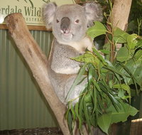 Blue Mountains Private Full-Day Tour from Sydney with Cruise - Restaurant Guide