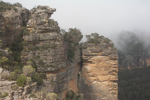 Private Blue Mountains Tour With Expert Guide - Restaurant Guide 5