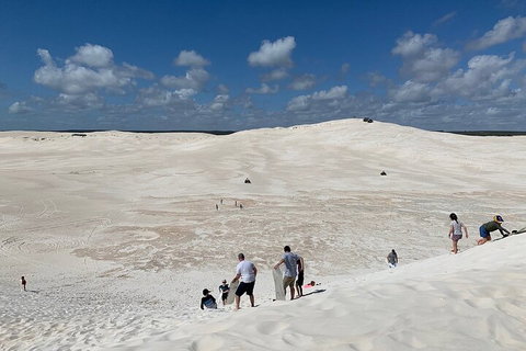 Pinnacles Day Trip From Perth Including Yanchep National Park - Restaurant Guide 2