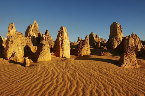 Pinnacles Day Trip From Perth Including Yanchep National Park - Restaurant Guide 5