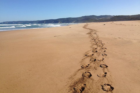 Private Great Ocean Road Full Day Tour - 1 Day Tour - Restaurant Guide 5