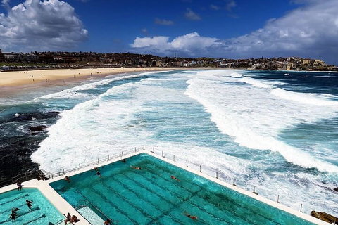 Private 4-hour City Tour Of Sydney With Hotel Pick Up And Drop Off - Restaurant Guide 1