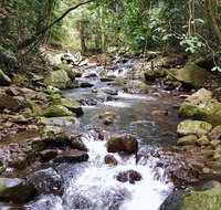 Springbrook Full Day Tour - Restaurant Guide