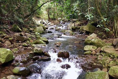 Springbrook Full Day Tour - Restaurant Guide 0