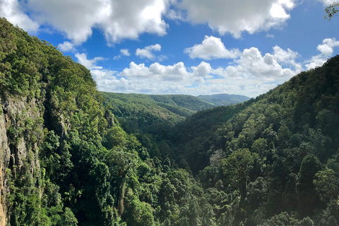 Springbrook Full Day Tour - Restaurant Guide 1